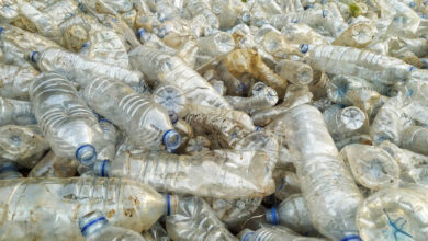 What Are the Most Sustainable Forms of Water Filters? – Recent Water Methods