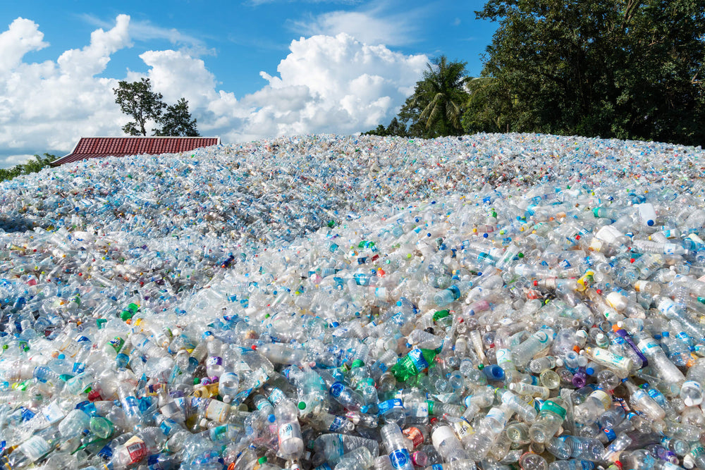 plastic water bottle trash